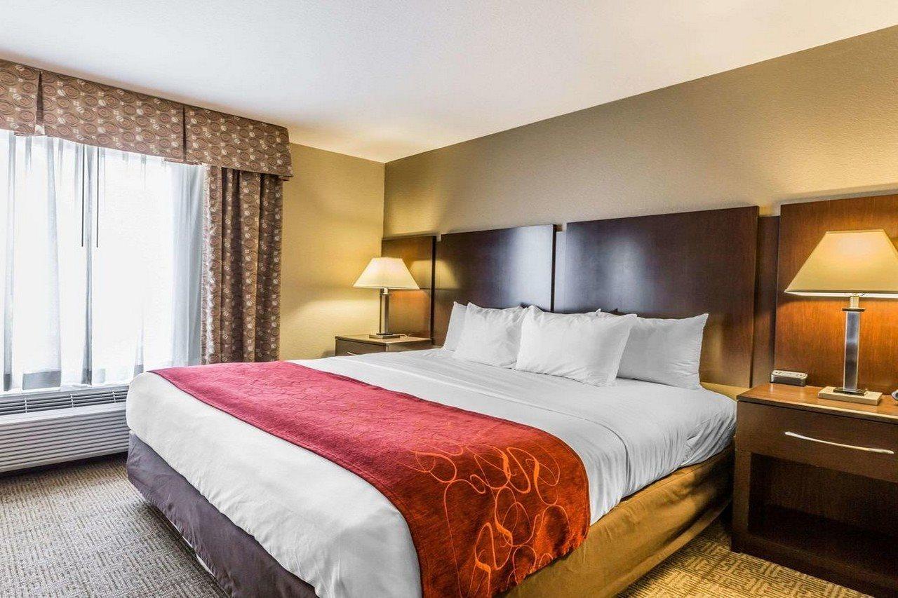 Comfort Hotel